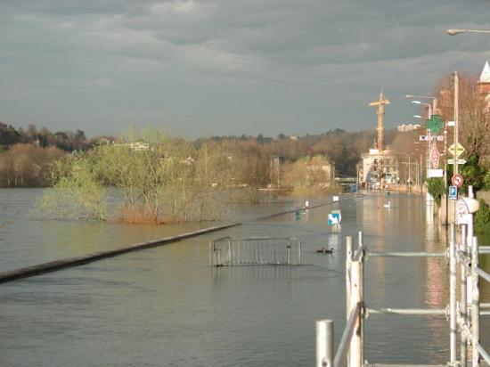 Les inondations du "Petit bois des Mouriaux"